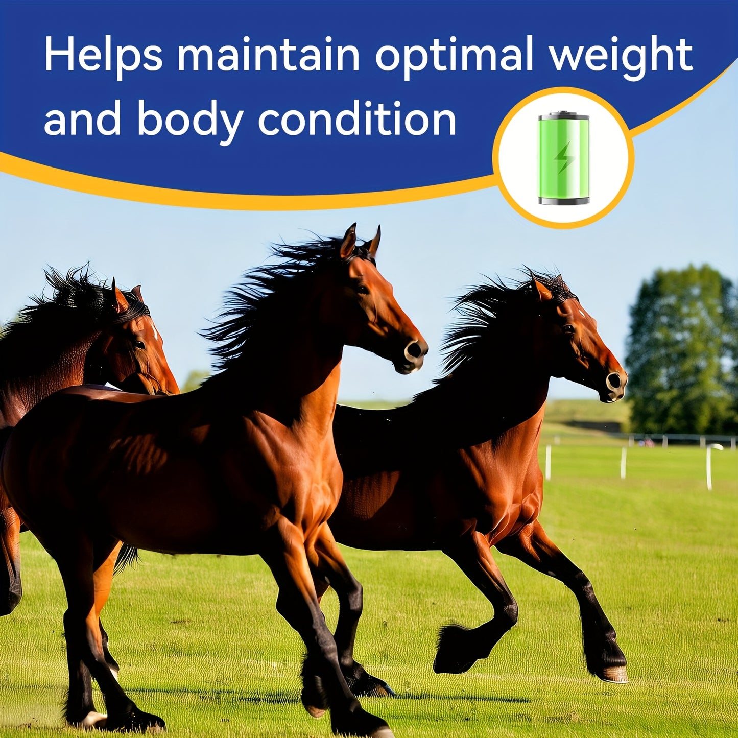 Equine Fattening And Weight Gain Accelerator 700g