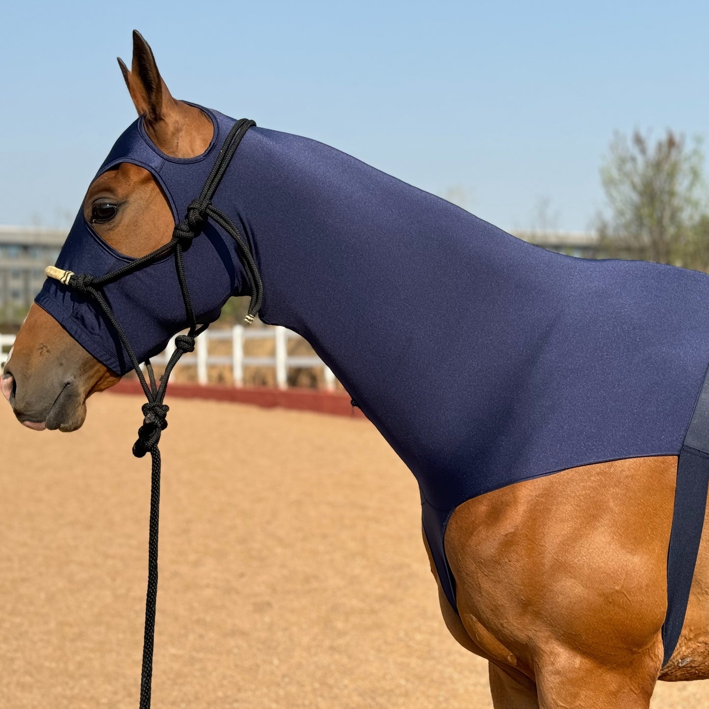Premium Nylon Lycra Horse Head Cover Anti Wear Stretch Fit for Large Breeds Essential Equestrian Gear