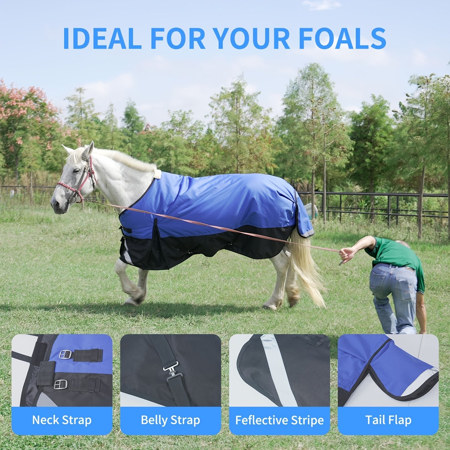 LILYPELLE Horse Blanket