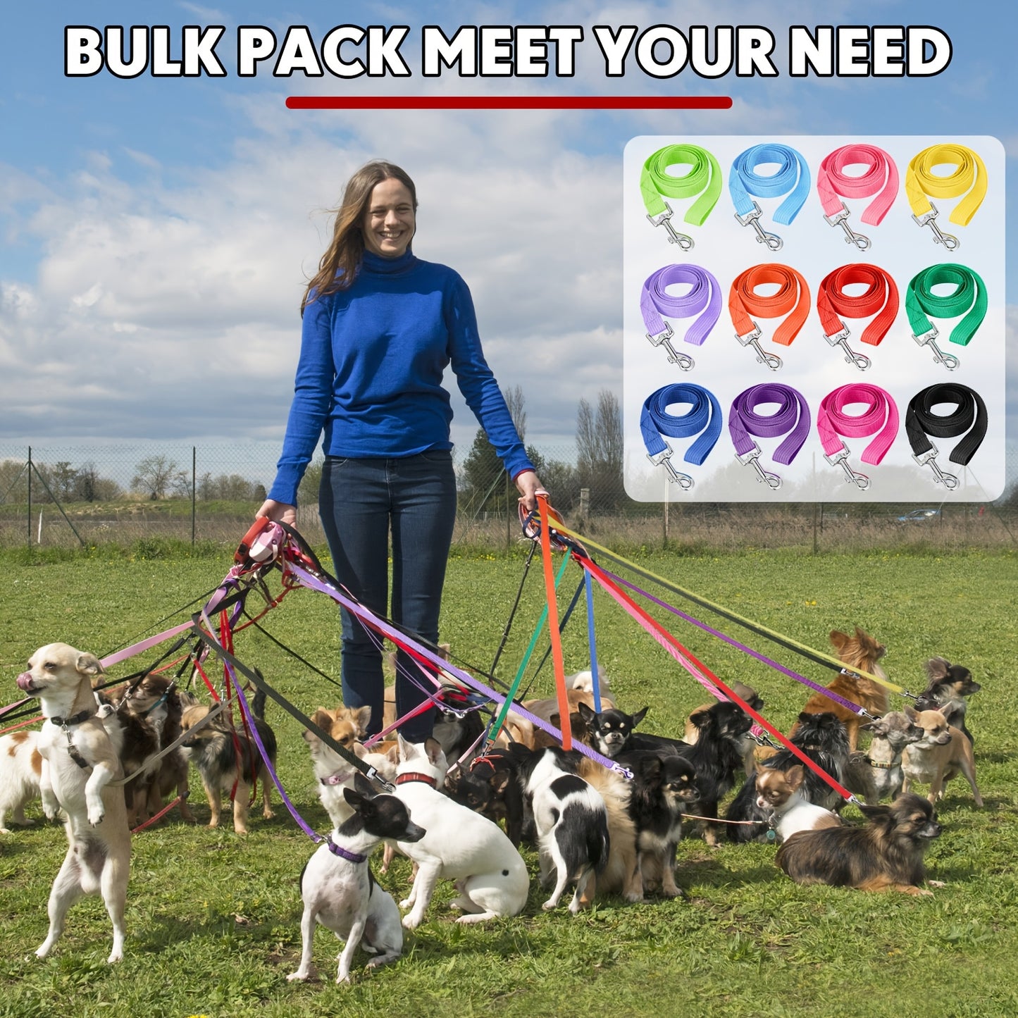 12pcs Nylon Dog Leash Bulk 5ft Dog Training Leash 12 Colors Puppy Line Traction Rope For Small Medium Puppy Training Play Camping Or Backyard