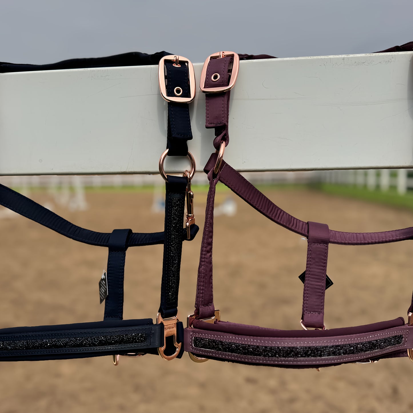 Horse Headcollar Doublepin Mattgloss Jewel Classic Sports 2025 Horse Halter Without Battery
