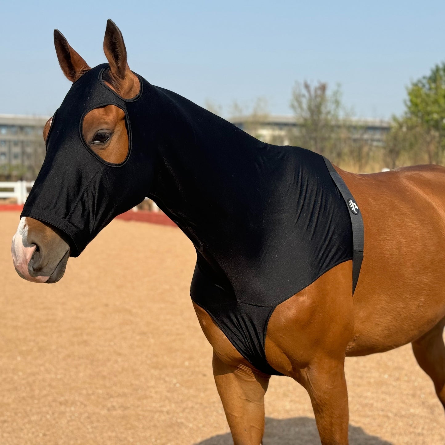 Premium Nylon Lycra Horse Head Cover Anti Wear Stretch Fit for Large Breeds Essential Equestrian Gear