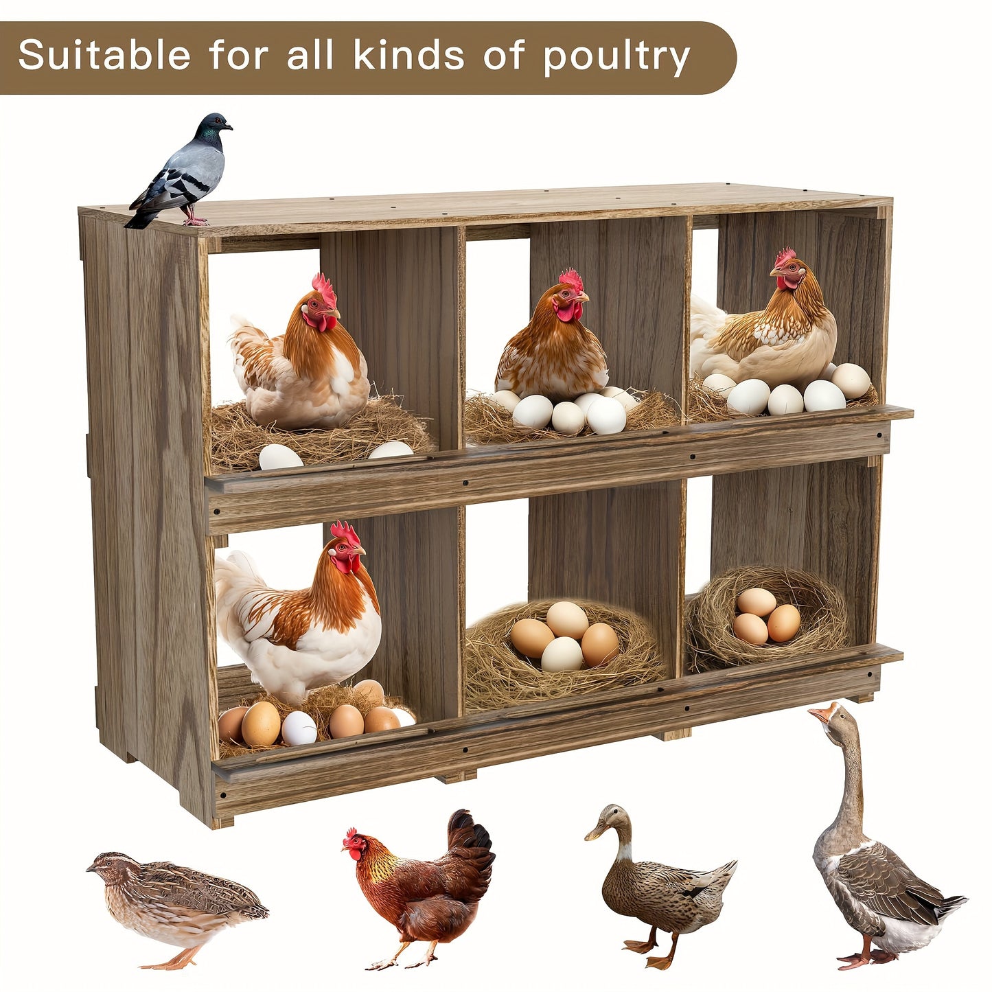 Chicken Nesting Boxes