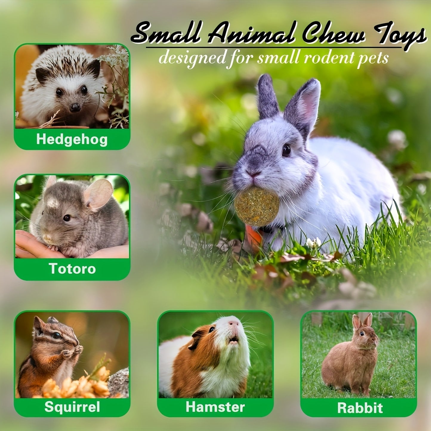 Teddy Baby Rabbit Toys Natural Timothy Hay Chews Apple Wood Sticks for Guinea Pig Hamster Chinchilla and Rat
