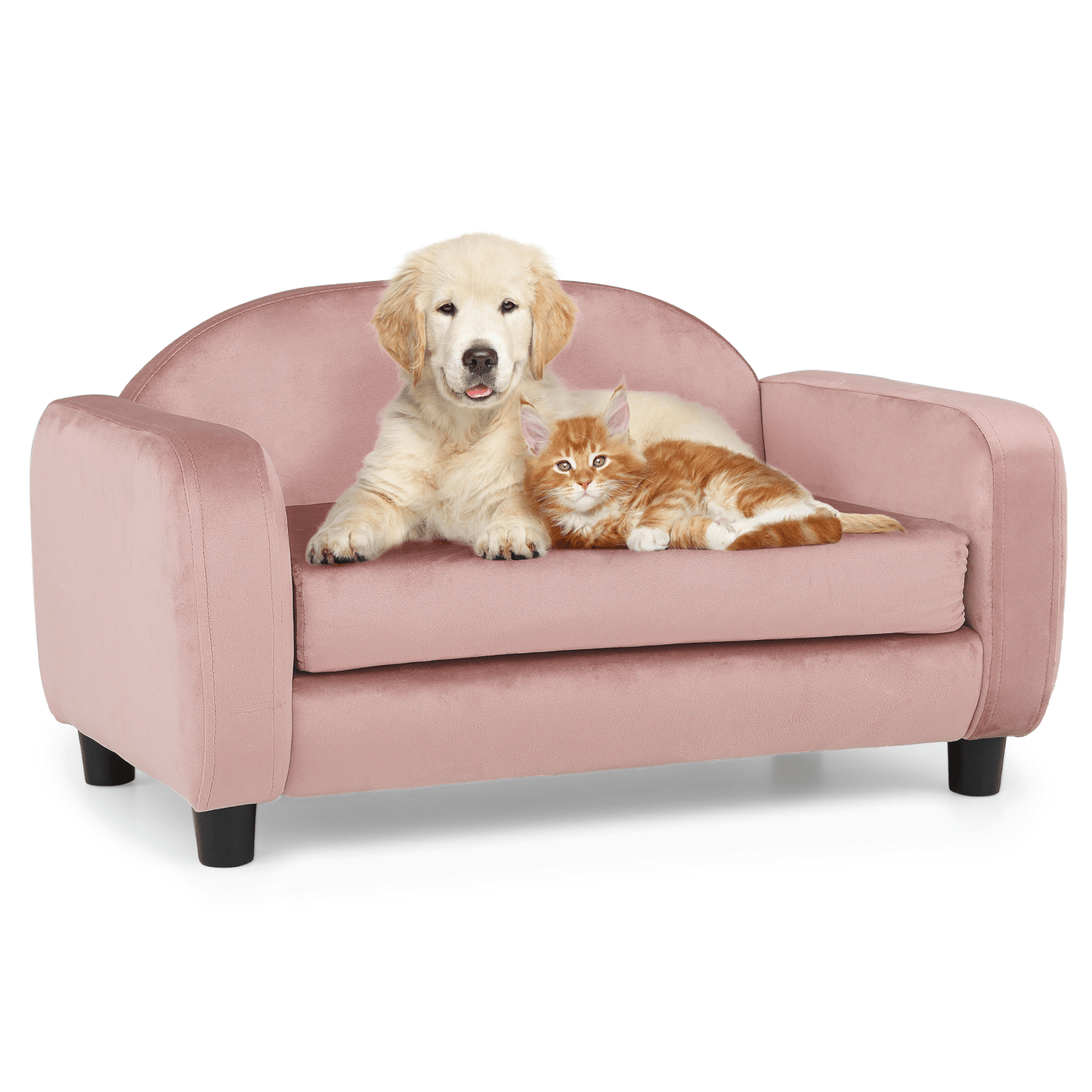 MoNiBloom Pet Sofa Dog Couch for Small Dogs and Cats