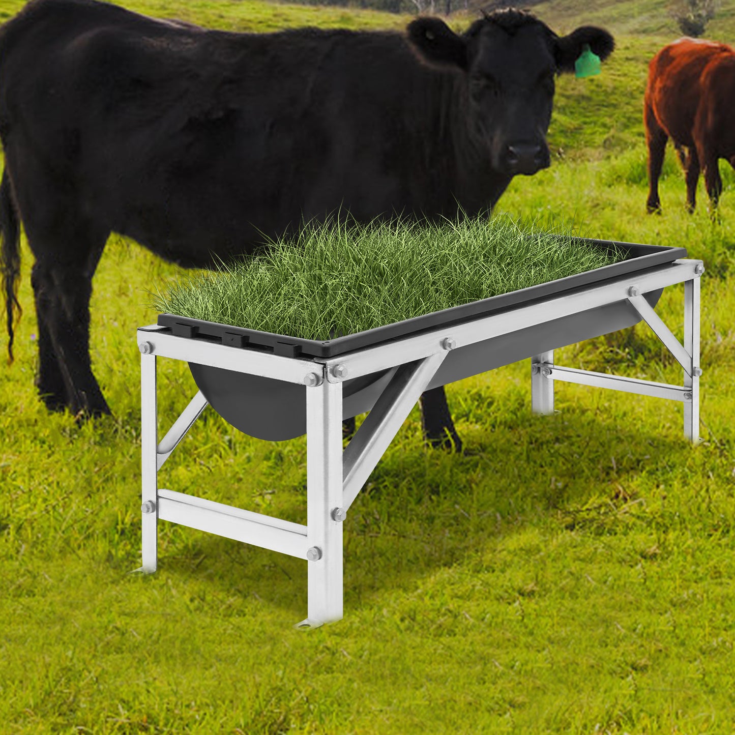 Livestock Feed Trough