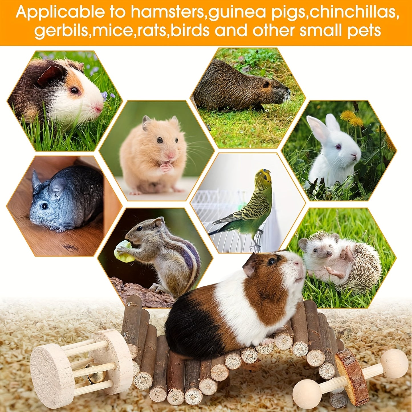 Hamster Chew Toys Set Small Animal Molar Toys Teeth Care