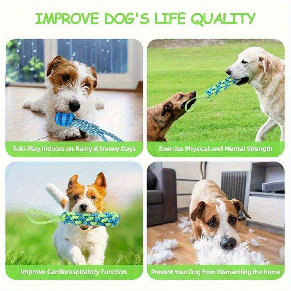 Durable Fabric Bungee Dog Toy Interactive Stretch and Tug of War Chew Rope for Dental Health Geometric Pattern Medium Breed Toy No Batteries Needed Indoor and Outdoor Play Interactive Dog Toy Playful Design Petsafe Material