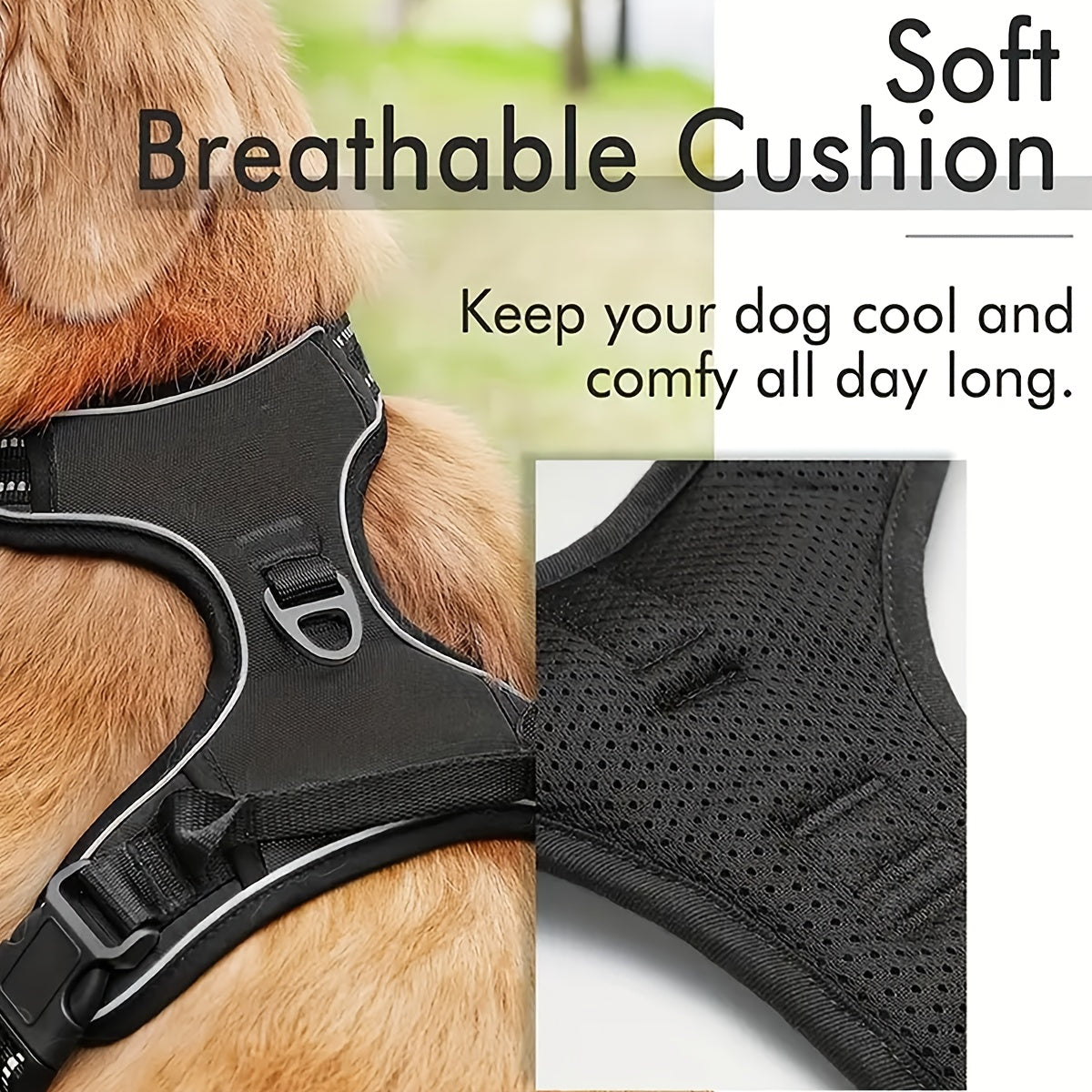No Pull Dog Harness Set