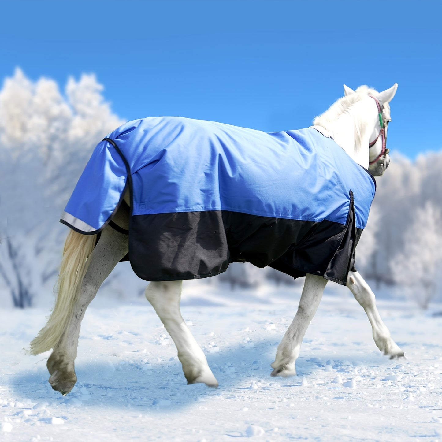 LILYPELLE Horse Blanket