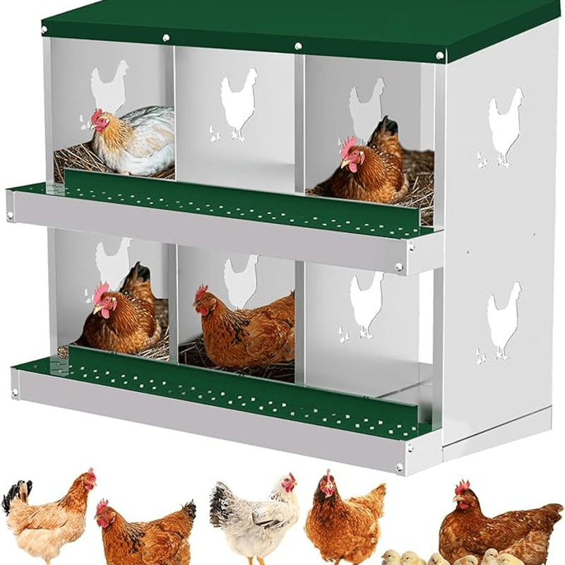 6 Compartments Chicken Nesting Box for Easy Egg Collection