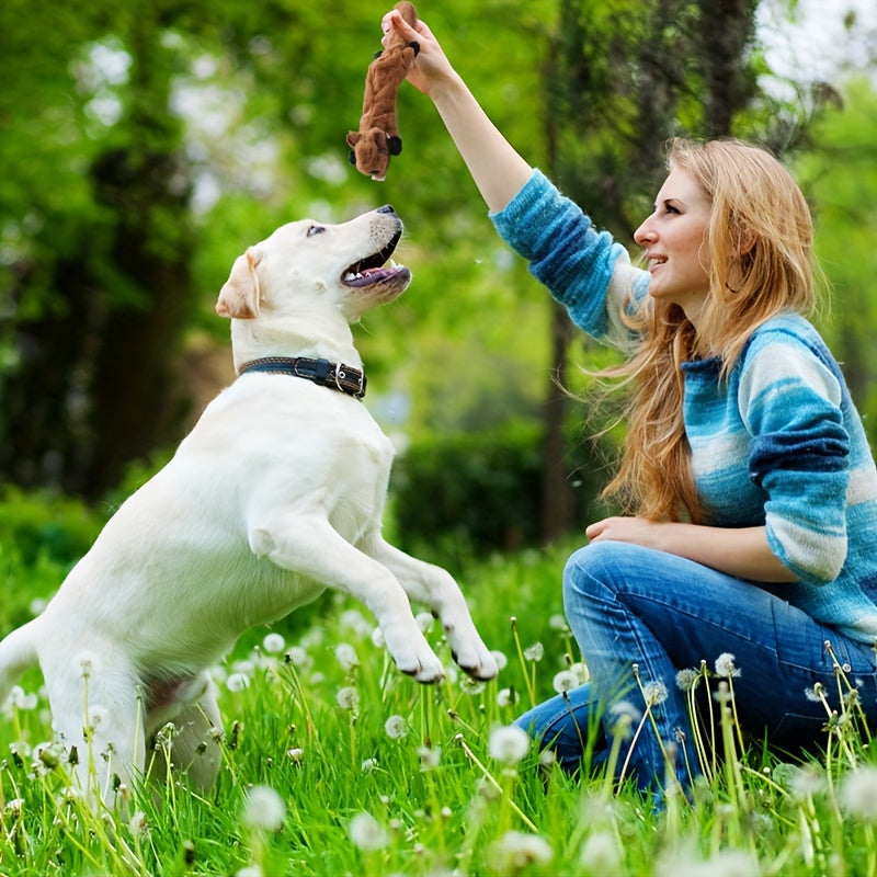 Durable Plush Dog Toys
