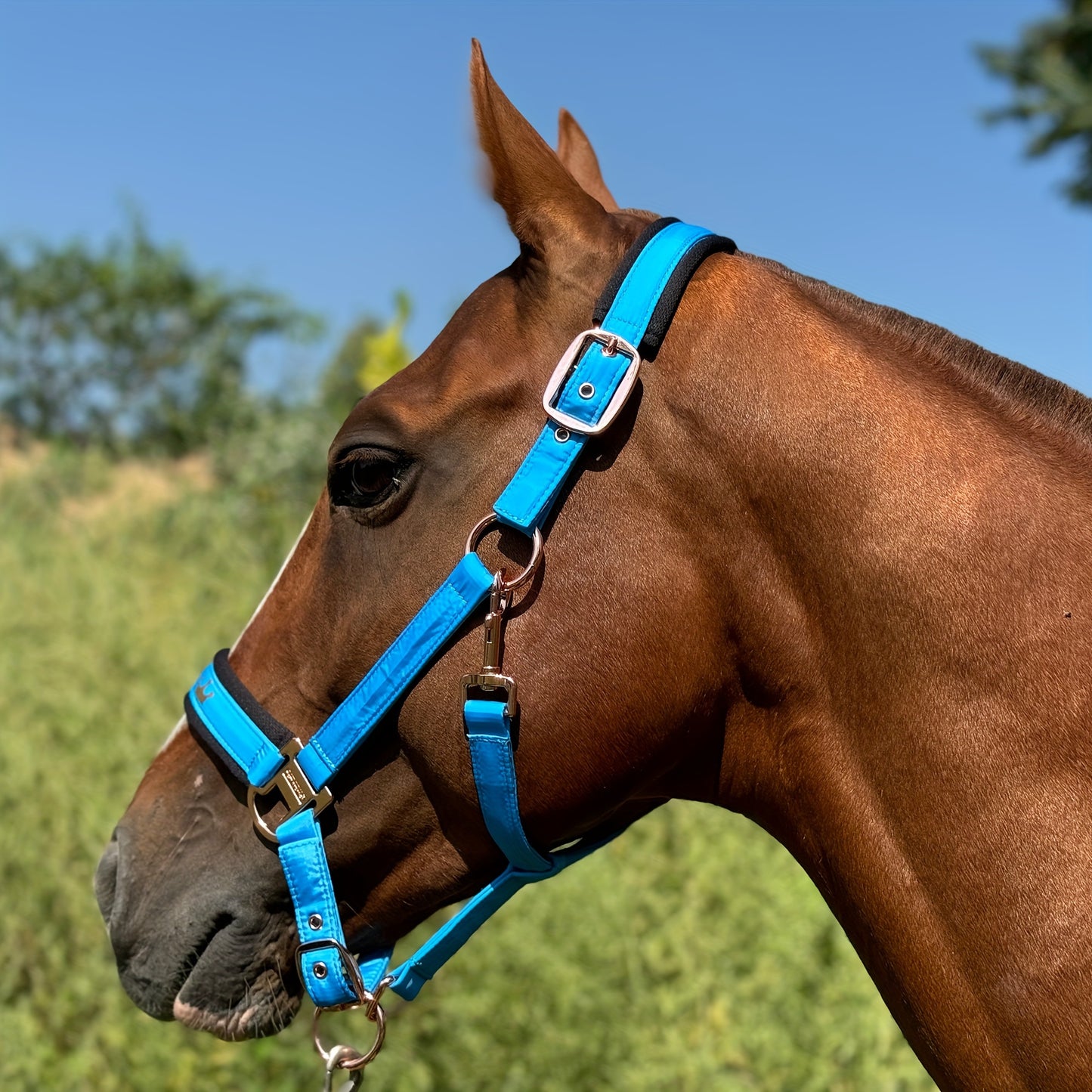 1pc Memory Fabric Horse Halter Durable Soft Equestrian Headgear With Anti Chafe Lining And Rose Golden Buckles Available In Large Medium And Small Sizes Without Battery