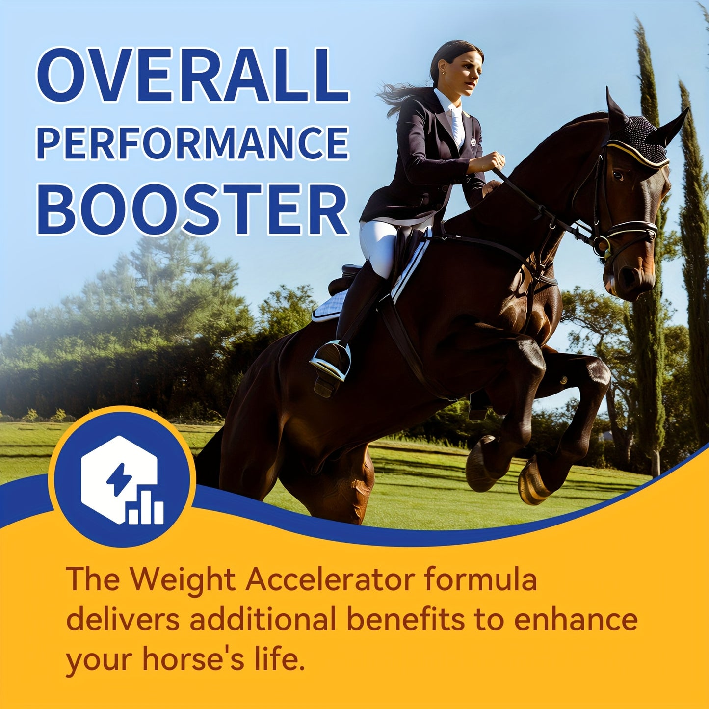 Equine Immune And Physical Fitness Support Supplements For Horses Weight Accelerator