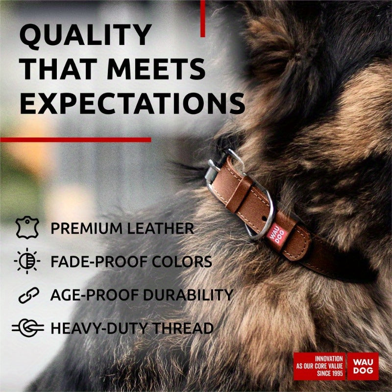 Long Lasting Leather Dog Collar for Large Medium Small Dogs