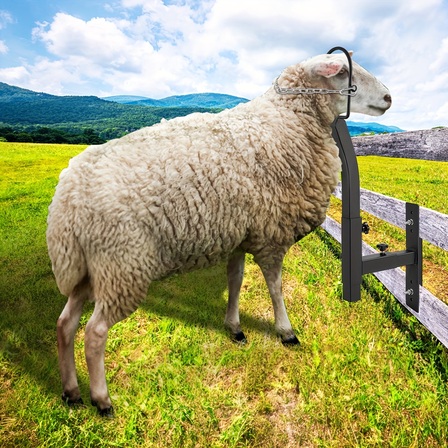 Happybuy Livestock Trimming Stand Goat and Sheep Stand with Adjustable Height and Width Metal with Nose Loop and Headpiece Ideal for Milking and Shearing Black