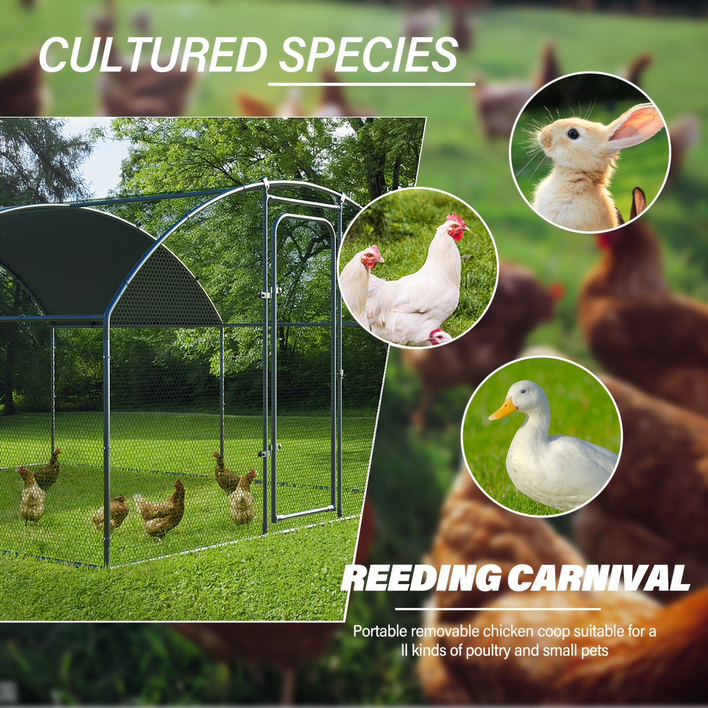 Chicken Coop Metal Large Chicken Run For Yard Heavy Duty Poultry Cage