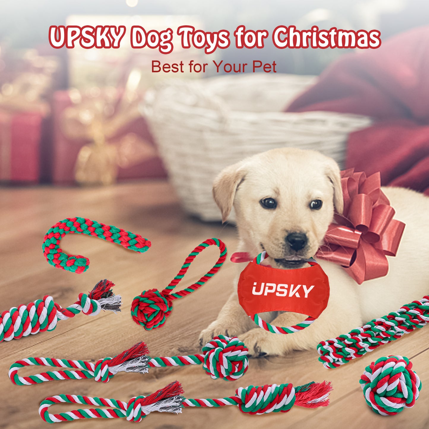 10-Pack Durable Dog Chew Toys Set for Aggressive Chewers