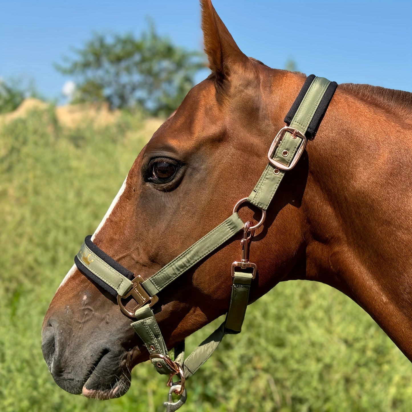 1pc Memory Fabric Horse Halter Durable Soft Equestrian Headgear With Anti Chafe Lining And Rose Golden Buckles Available In Large Medium And Small Sizes Without Battery