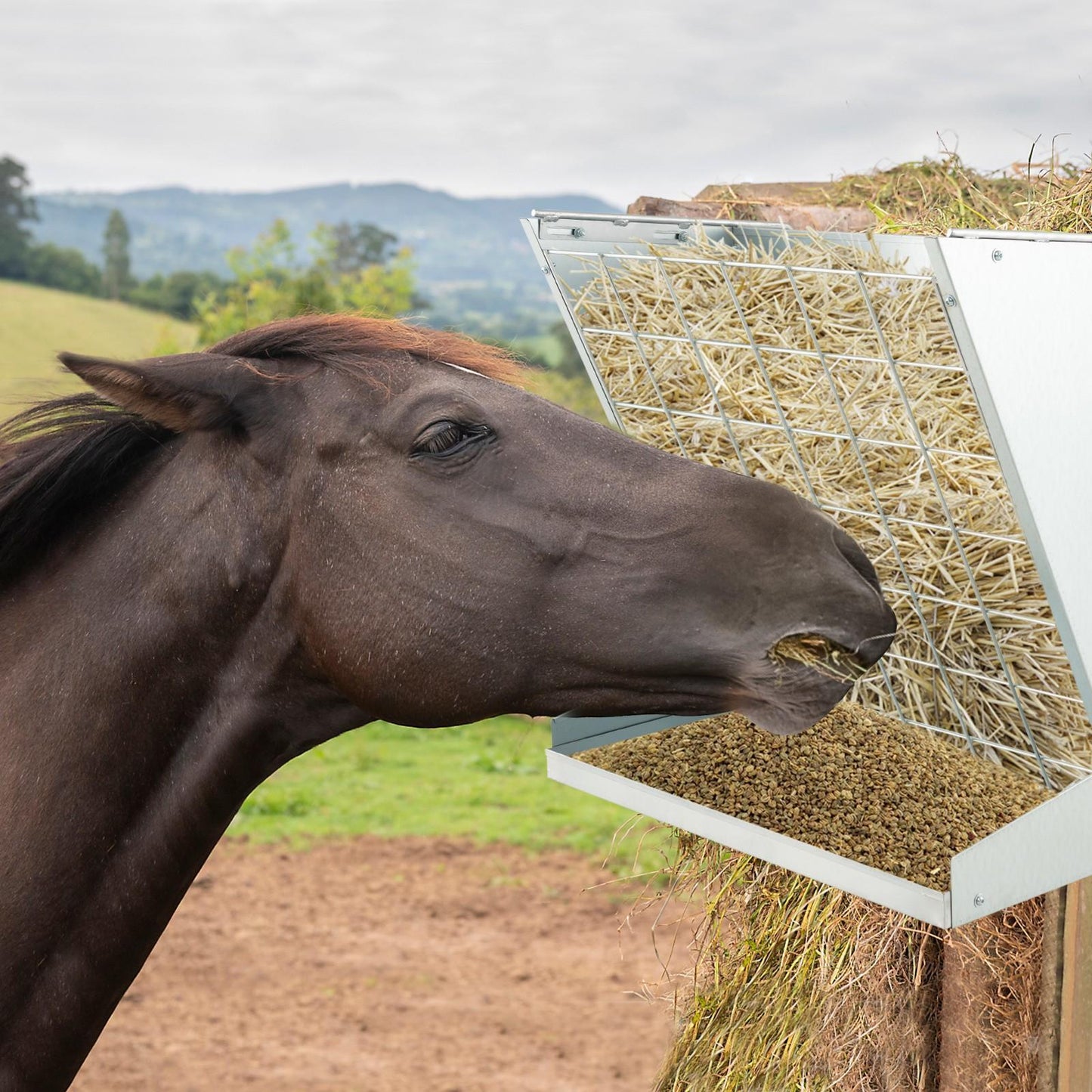 LIFEZEAL Wall Mount Hay Feeder