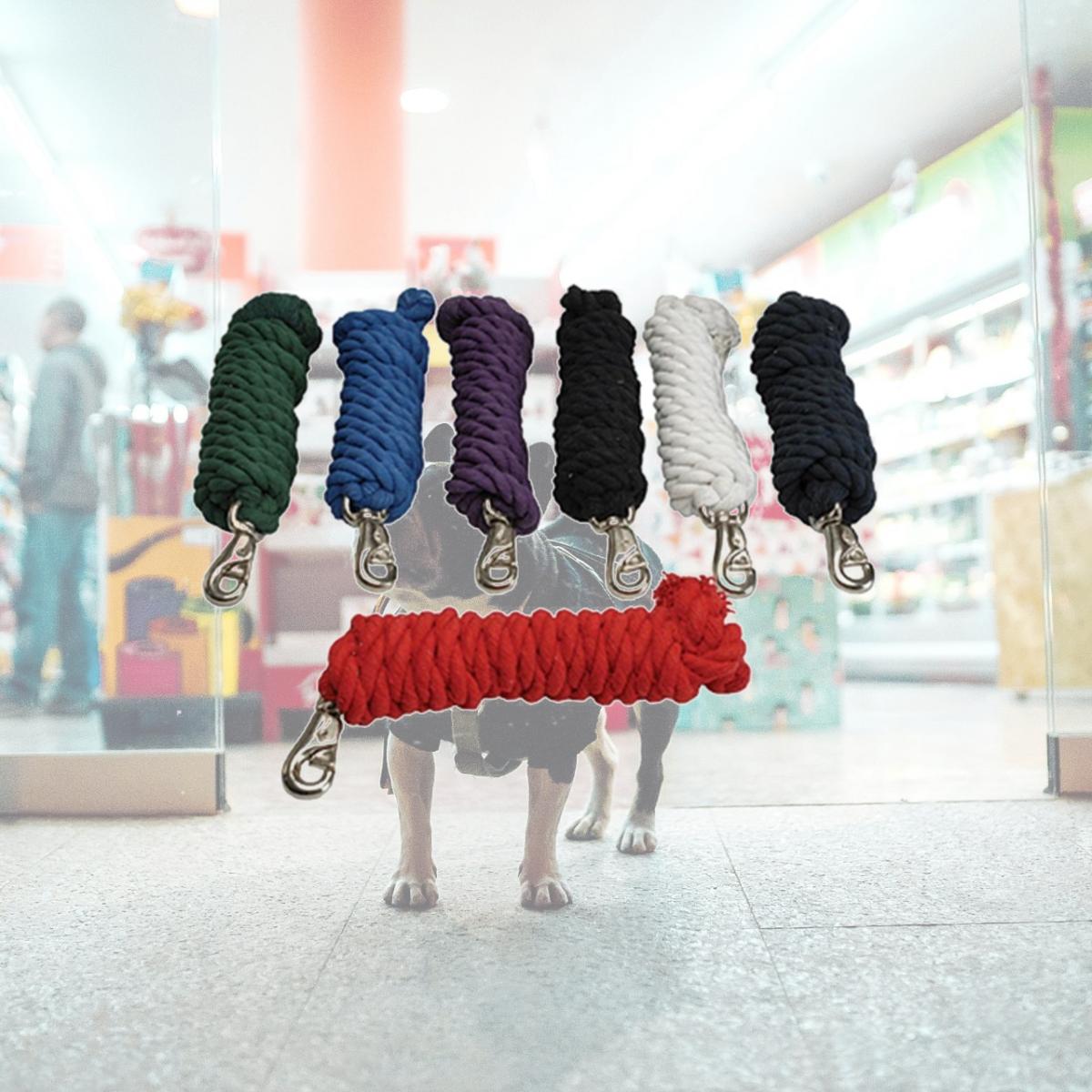 212 Main Cotton Lead Rope with Bull Snap in Red