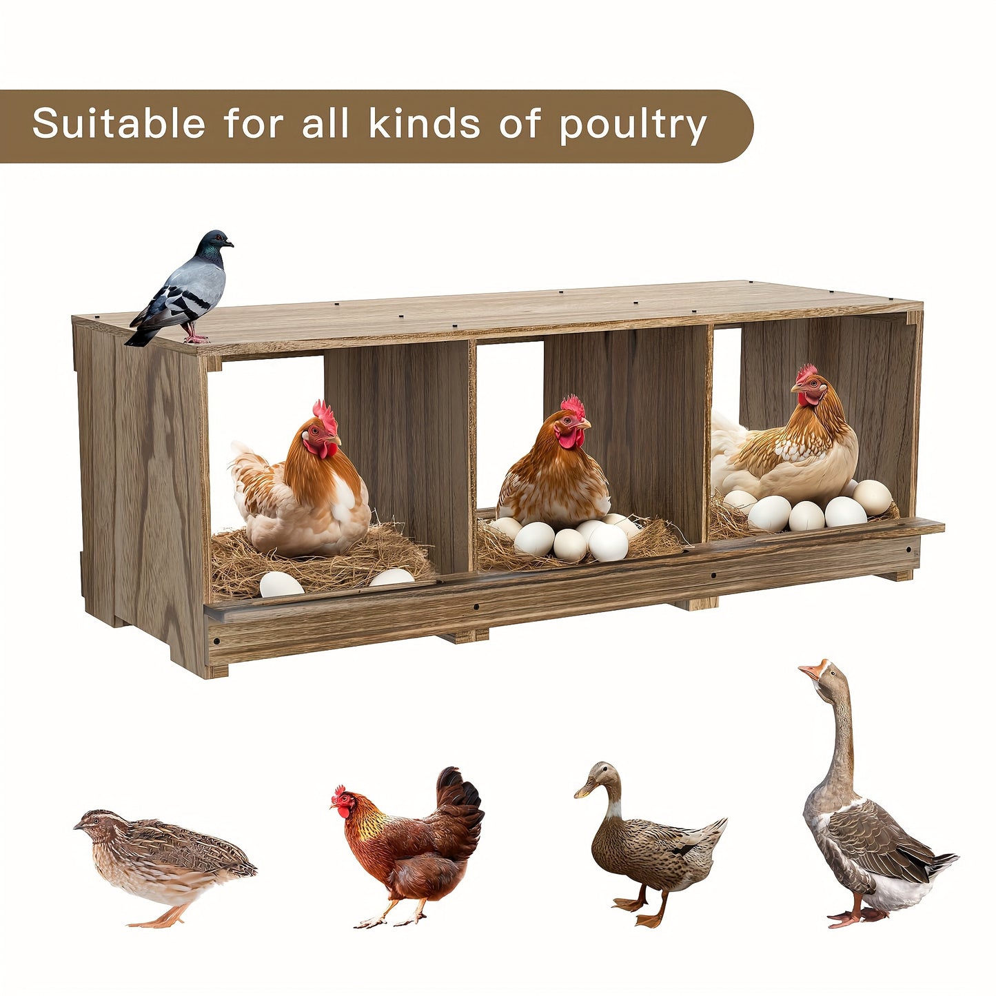 Chicken Nesting Boxes