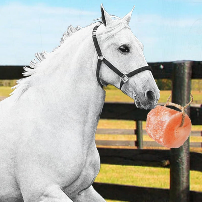 Natural Himalayan Salt Lick Block on Rope for Horses Deer Cattle Sheep and Livestock 84 Mineral Rich Promotes Hydration Durable Outdoor Mineral Block 2.4 to 3.3 Pounds