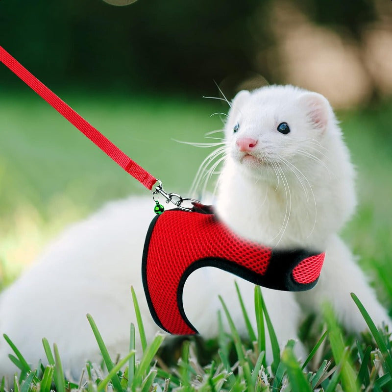 Small Animal Harness and Leash Soft Mesh Pet Harness with Safe Bell No Pull Comfort Padded Vest for Small Pets Red