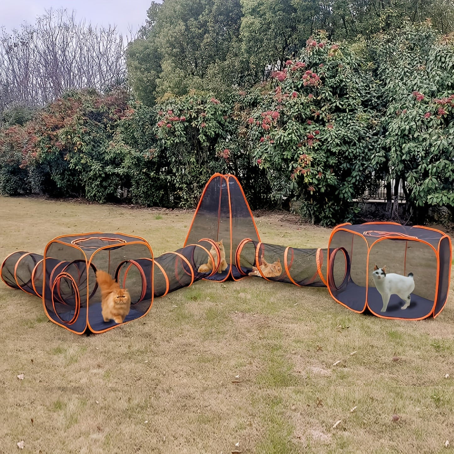 6 In 1 Foldable Pet Playpen With Tunnel And Tent For Cats And Dogs Outdoor Pop Up Cage Fence Black Fabric With Orange Accents Interactive Design For Indoor Outdoor Use