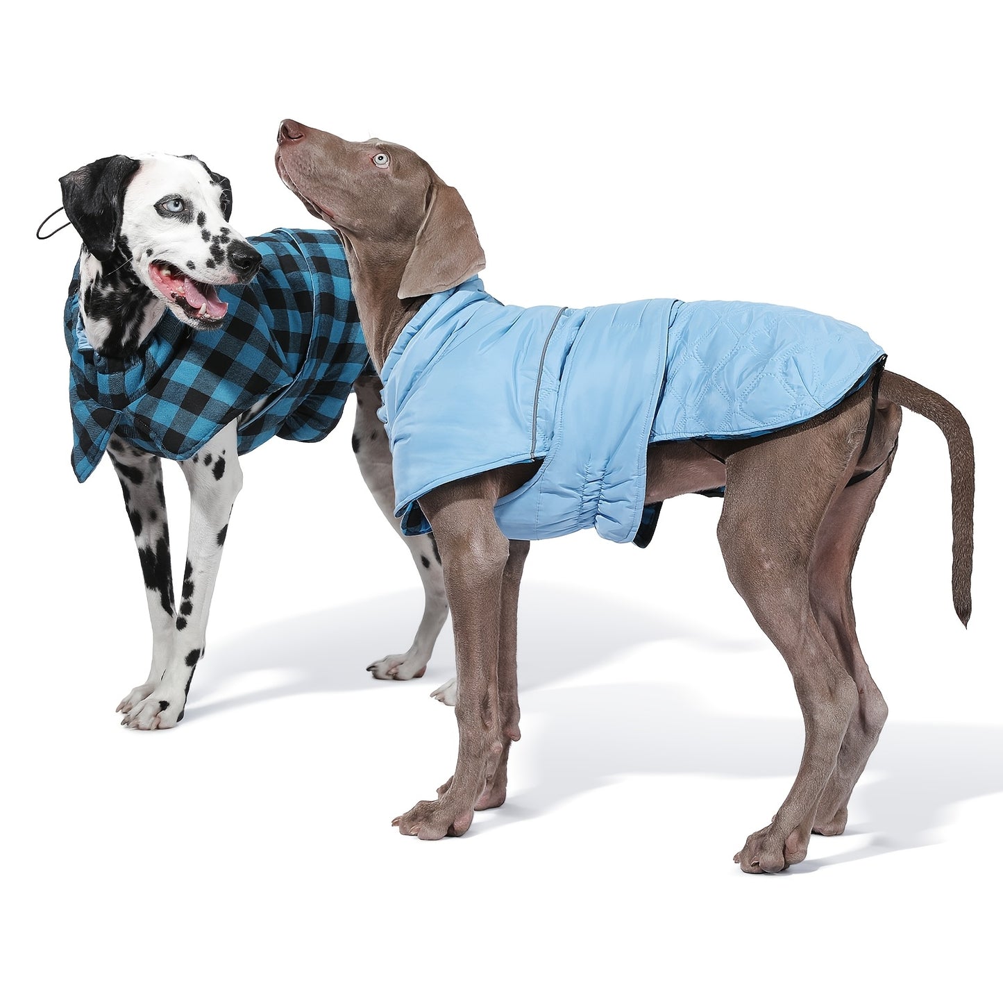 Reversible Dog Winter Coat - Waterproof Insulated Jacket