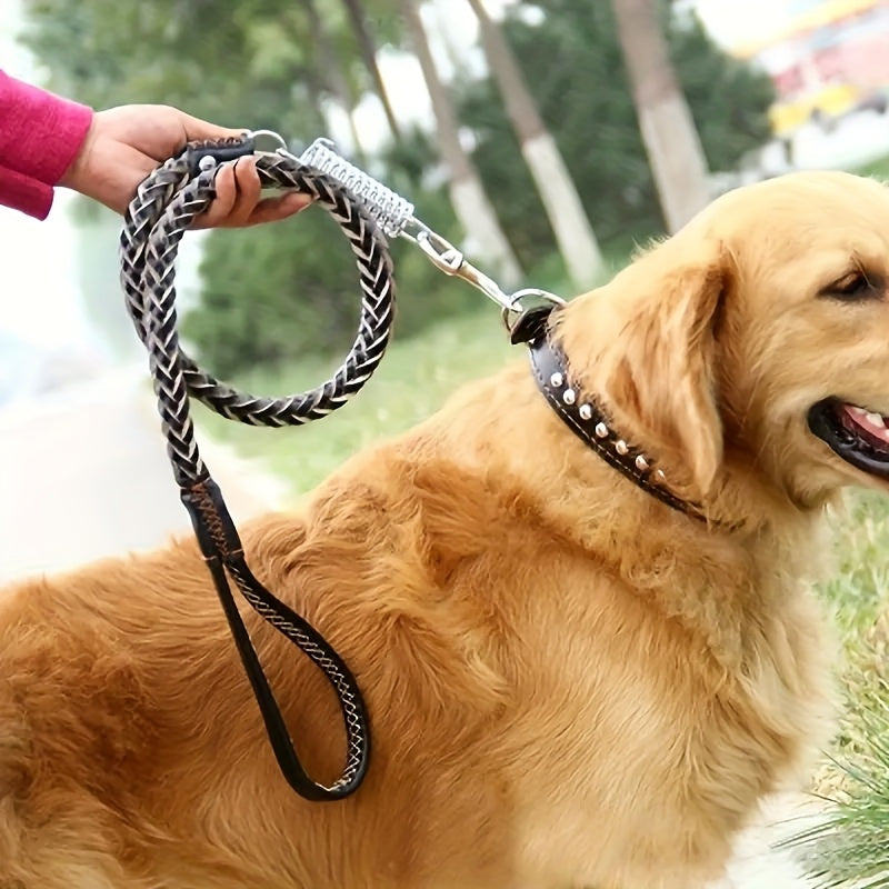 5-Foot Genuine Dog Leash with Cowhide Collar for Dogs