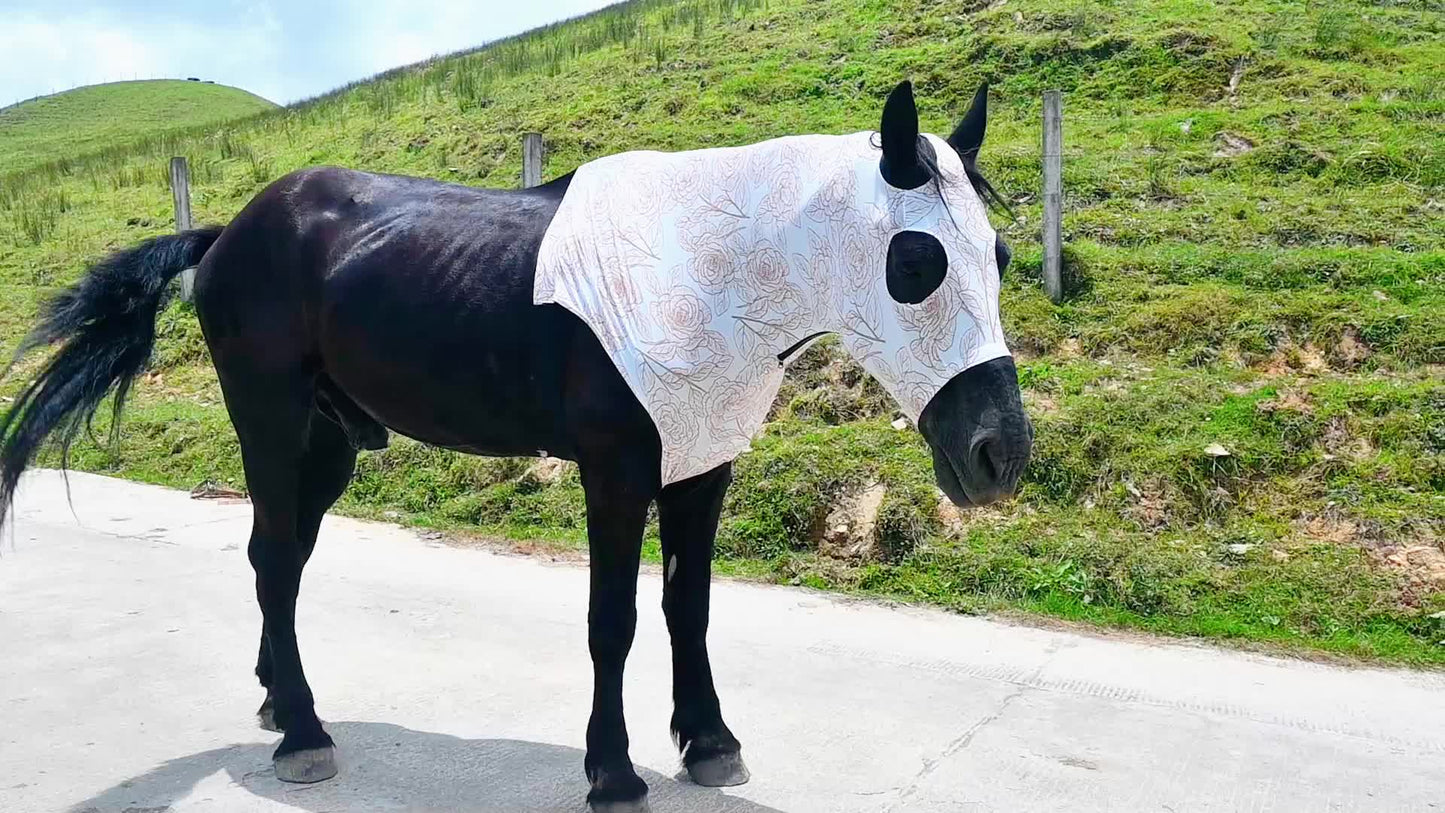 Spring Summer Equine Fly Mask with Zipper Wool Lined for Comfort Large Holes for Secure Fit Suitable for Horses