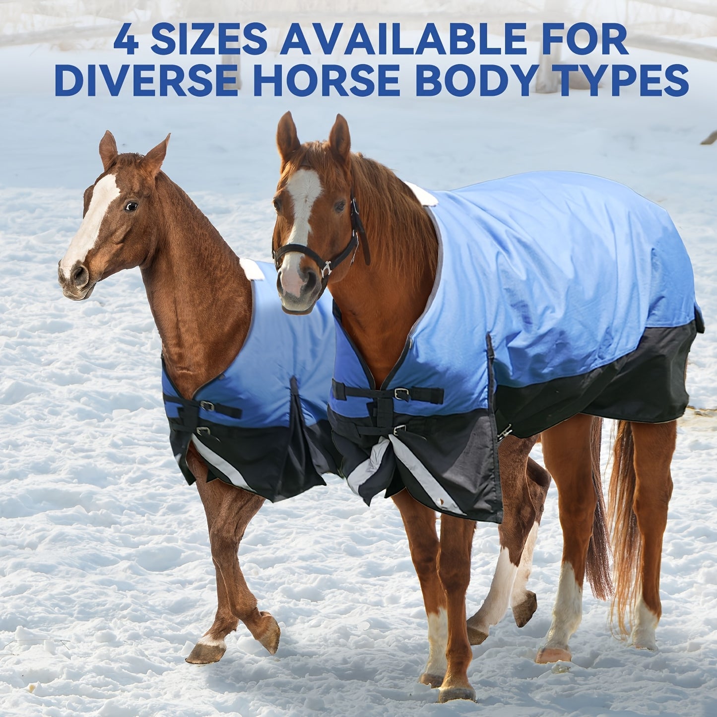 LILYPELLE Horse Blanket