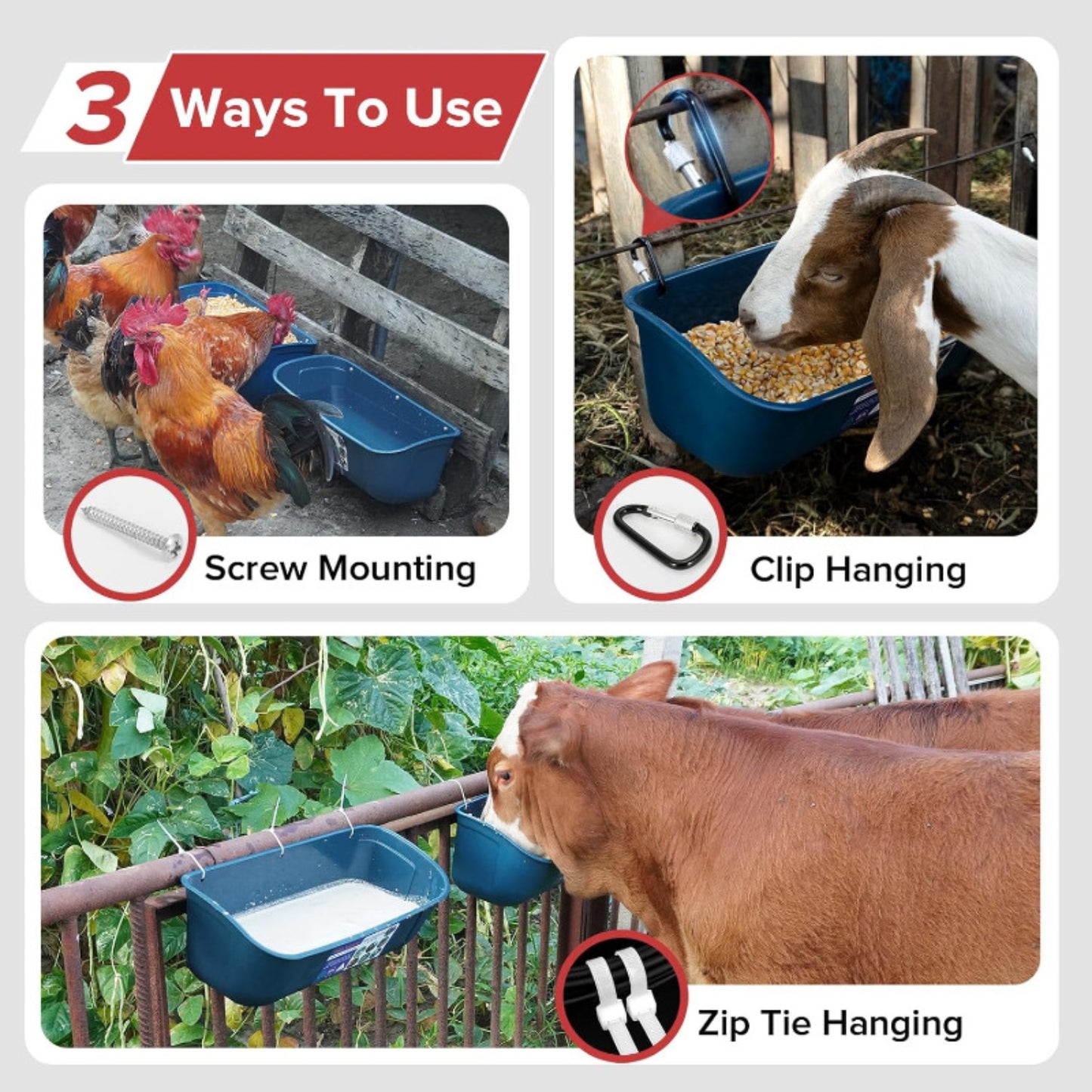 Hanging & Screw-In Poultry & Animal Feeder with Troughs