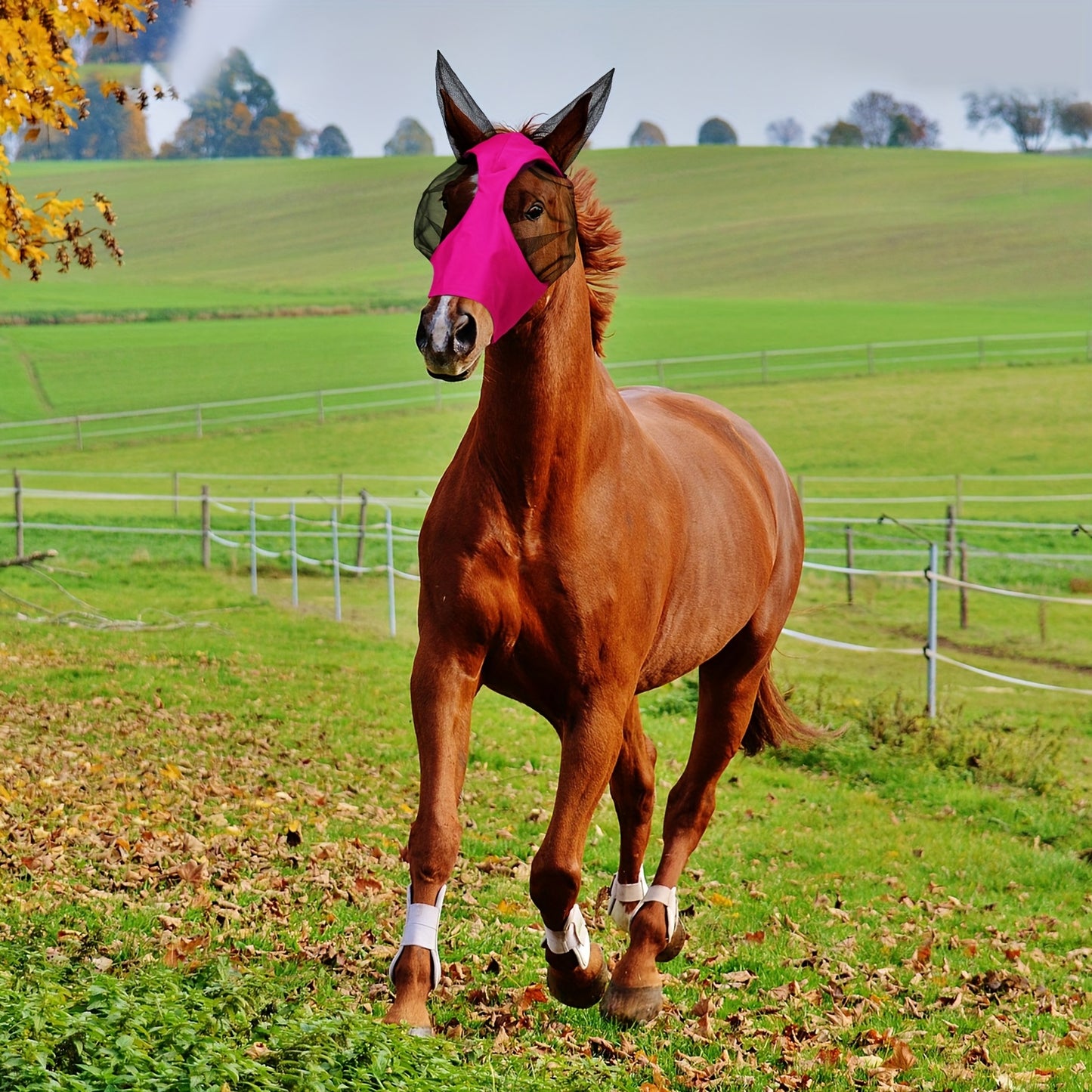 2pcs Horse Fly Masks With Ears Elastic UV Protection Fly Mask For Horses Breathable Mesh Smooth Fit Pink Purple Size M