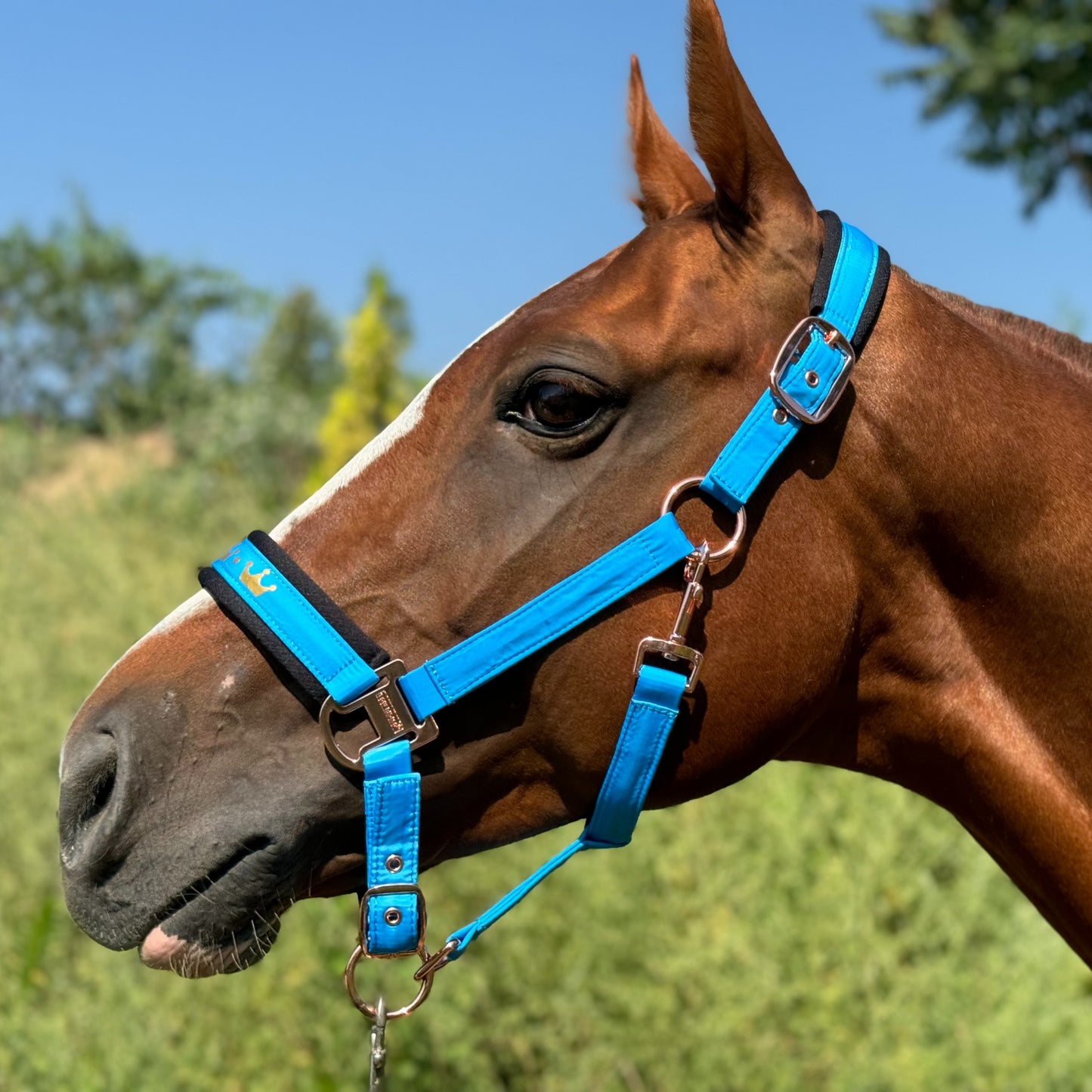 1pc Memory Fabric Horse Halter Durable Soft Equestrian Headgear With Anti Chafe Lining And Rose Golden Buckles Available In Large Medium And Small Sizes Without Battery