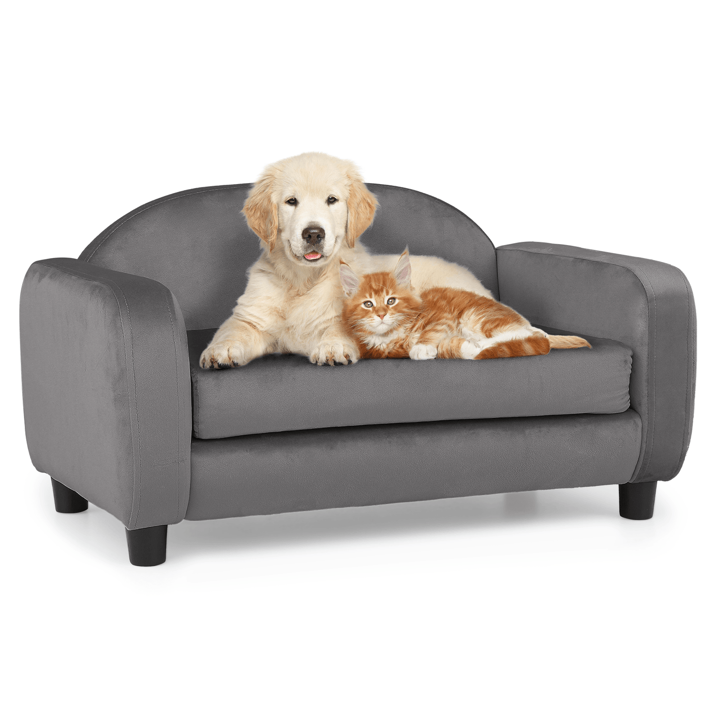 MoNiBloom Pet Sofa Dog Couch for Small Dogs and Cats