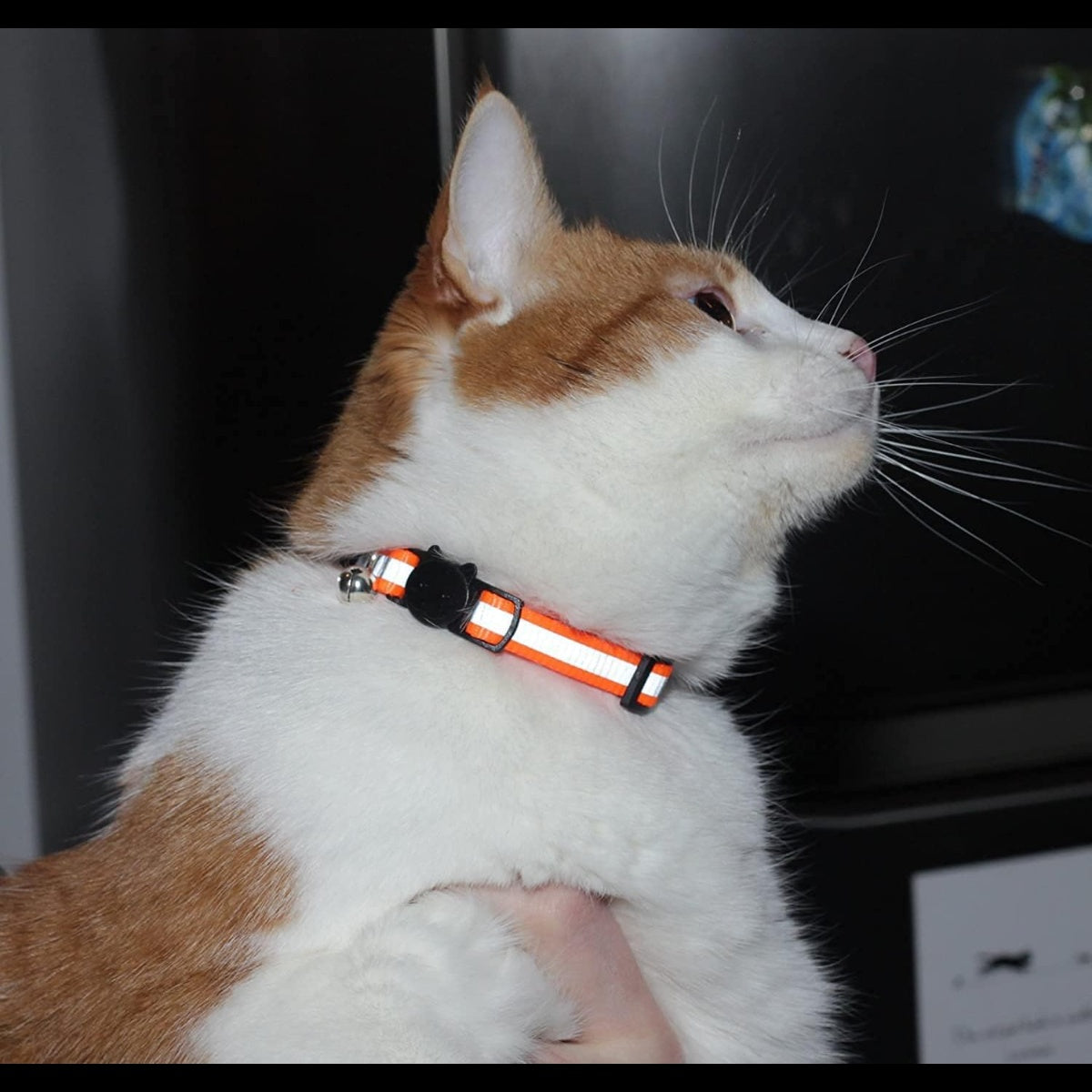 Reflective Cat Collar with Bell Set of 6 Solid and Safe Collars for Cats Nylon Mixed Colors Breakaway Cat Collar Charms