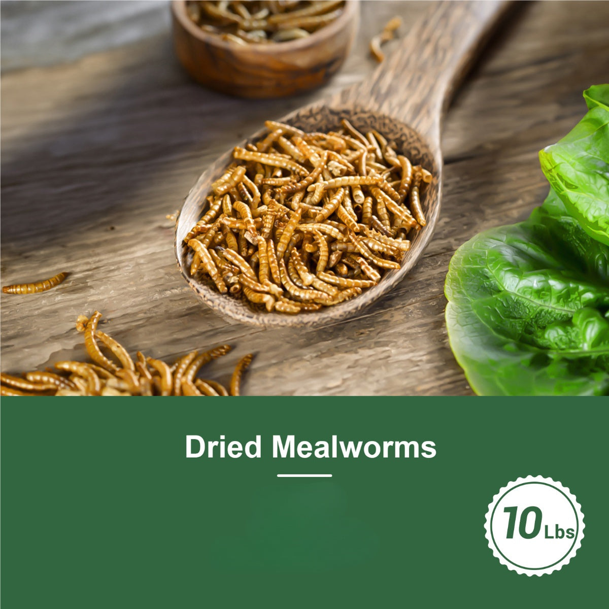 Dried Mealworms Larvae For Chickens Natural High Protein Pet Food Dried Meal Worms For Wild Birds Hens Ducks Turtles Fish Lizards Hamsters Dried Insect Animal Feed