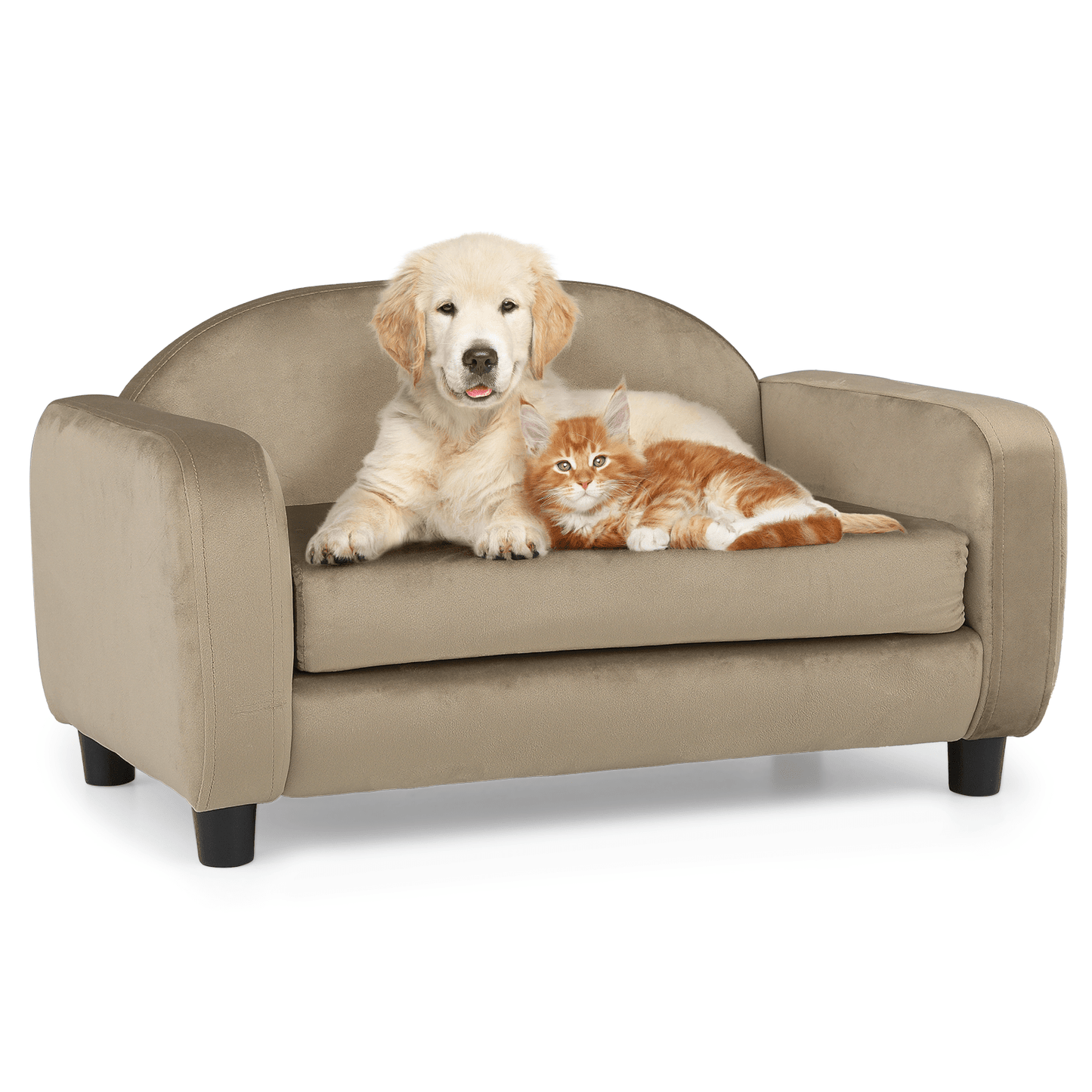 MoNiBloom Pet Sofa Dog Couch for Small Dogs and Cats