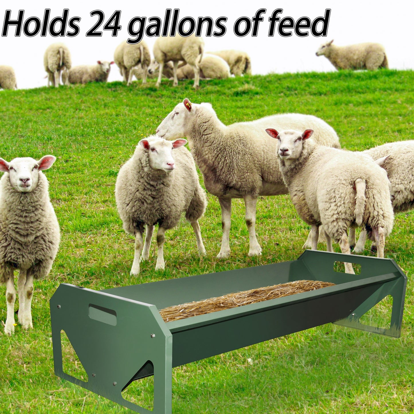 Portable 45 Inch Long Galvanized Steel Livestock Feeder Green