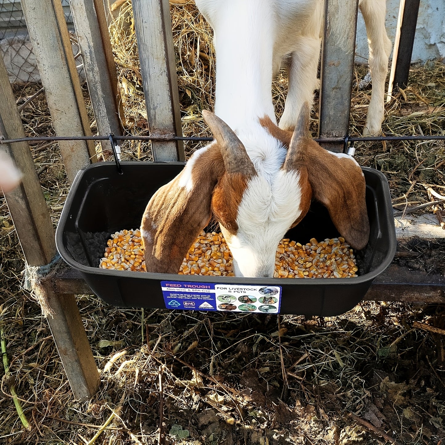 Extra Large Goat Feeder with Clip Hanging Chicken Feeder Livestock and Poultry Feeding Trough Bucket for Goats Sheep Ducks Geese Piglets Horses Deer 12.91 Inch by 7.1 Inch by 7.1 Inch