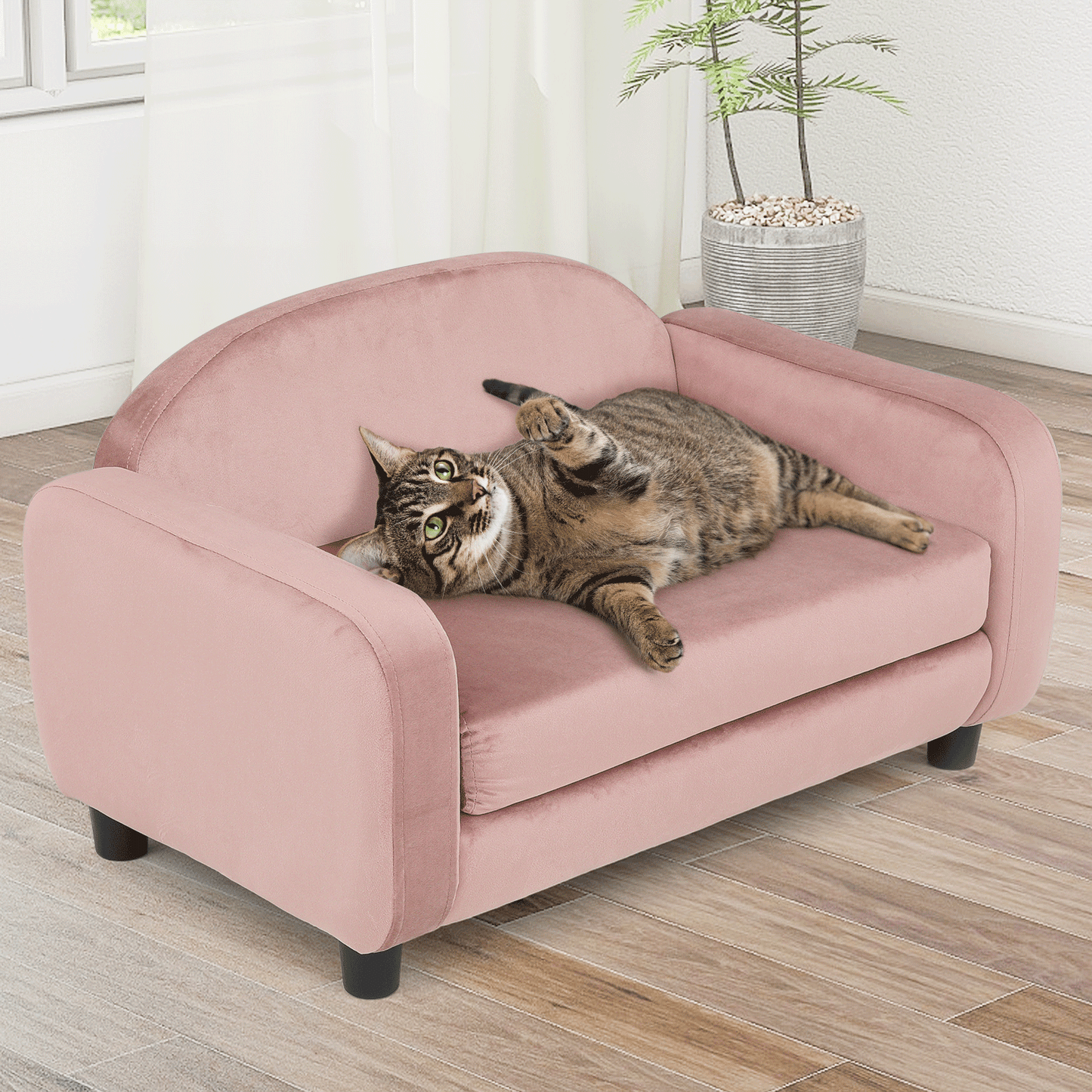 MoNiBloom Pet Sofa Dog Couch for Small Dogs and Cats