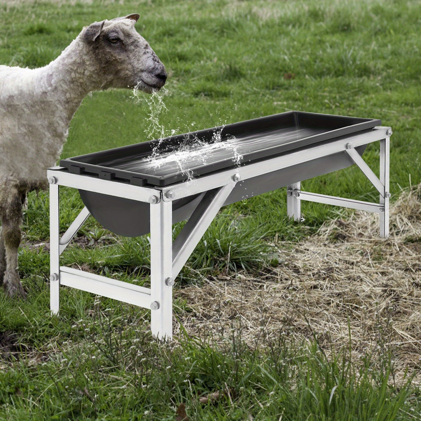 Livestock Feed Trough