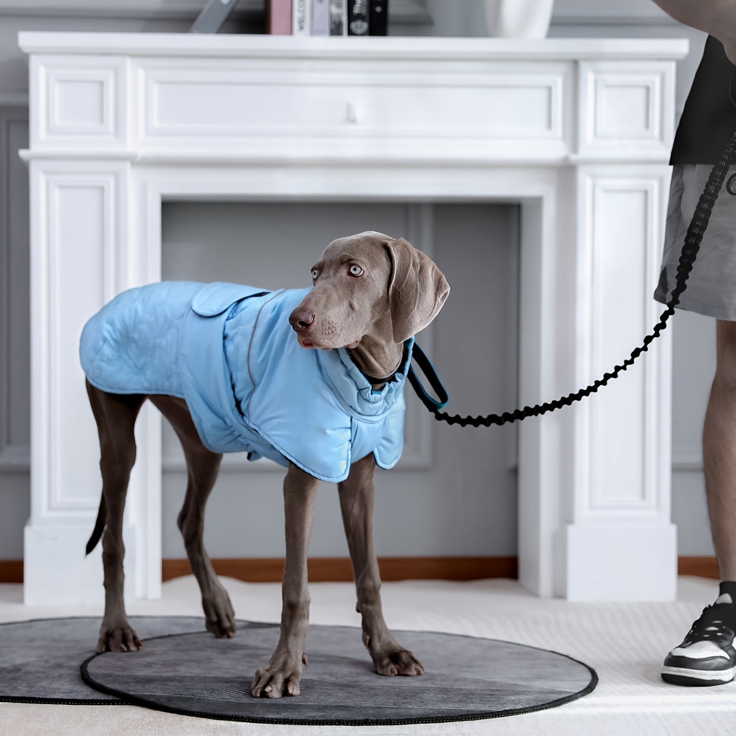 Reversible Dog Winter Coat - Waterproof Insulated Jacket