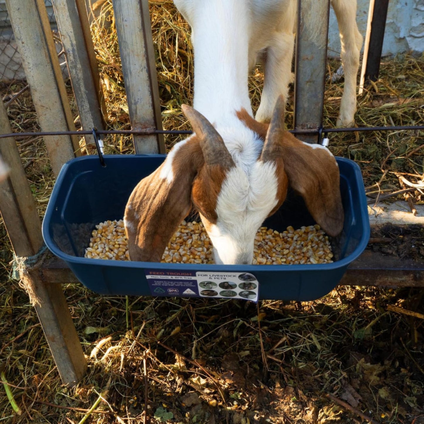 Hanging & Screw-In Poultry & Animal Feeder with Troughs