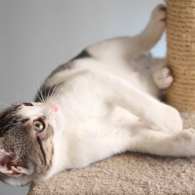 1pc Cat Scratching Post Tower