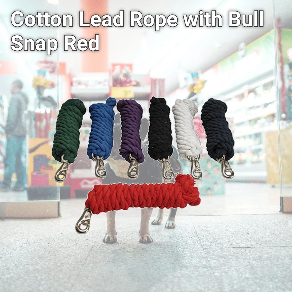 212 Main Cotton Lead Rope with Bull Snap in Red