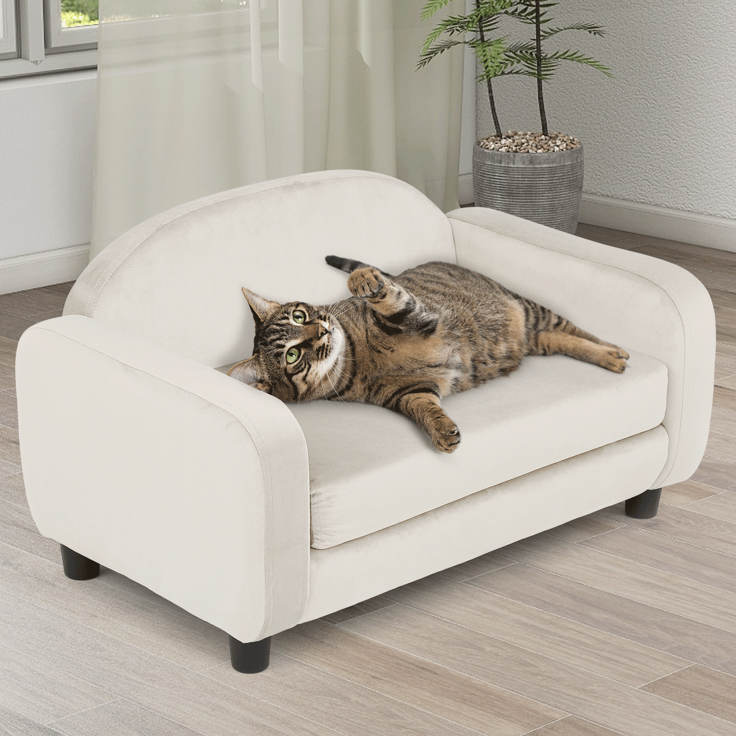 MoNiBloom Pet Sofa Dog Couch for Small Dogs and Cats