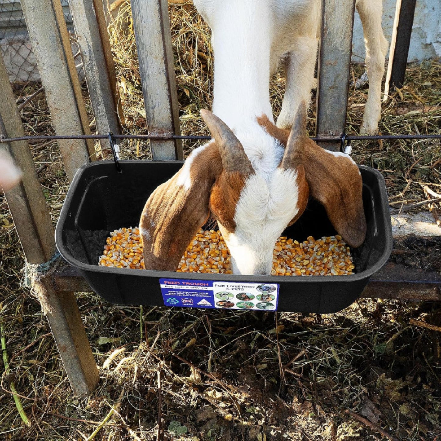 Hanging & Screw-In Poultry & Animal Feeder with Troughs